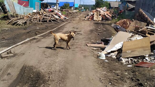 Последствия паводка в Иркутской области