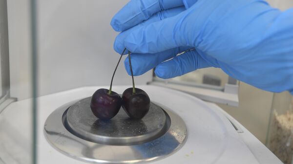 Проверка фруктов и ягод Роспотребнадзором в НИИ питания и эпидемиологии