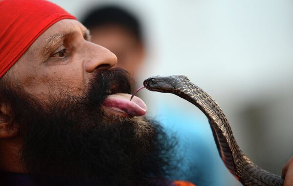 Индуист выступает со змеей во время священного месяца Шраван в Индии