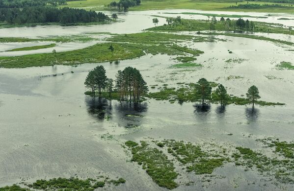 Территория, затопленная в результате разлива реки Селемджа, в Селемджинском районе Амурской области