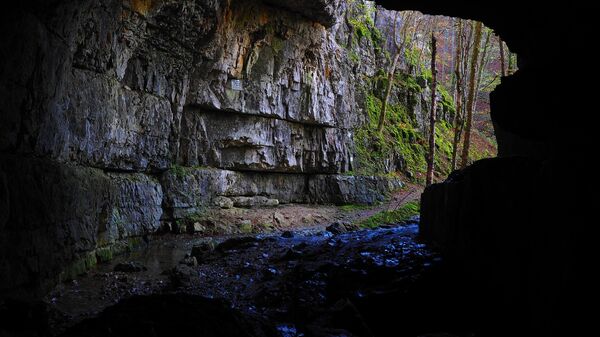 Фалькенштайнская пещера в Германии