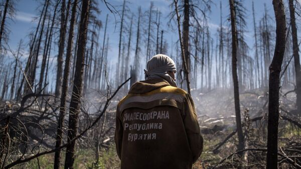 Тушение природного лесного пожара в Бурятии
