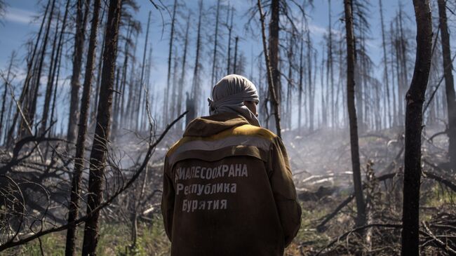 Тушение природного лесного пожара в Бурятии