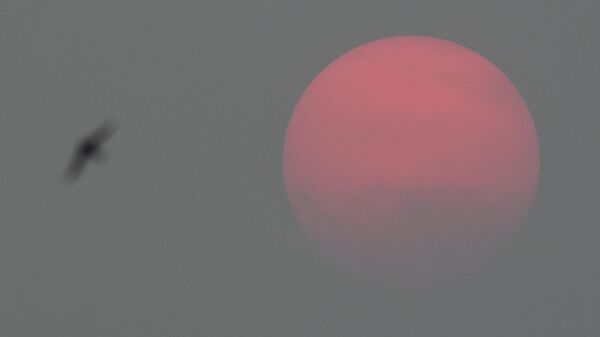 Солнце перед закатом в Новосибирске скрывается в смоге, вызванном лесными пожарами на территории Красноярского края