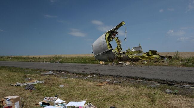 На месте крушения малайзийского Boeing 777 в районе деревни Грабово недалеко от Шахтерска в Донецкой области