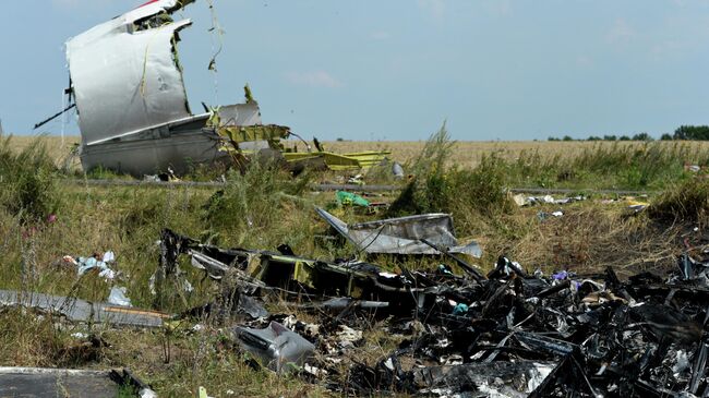 На месте крушения малайзийского Boeing 777