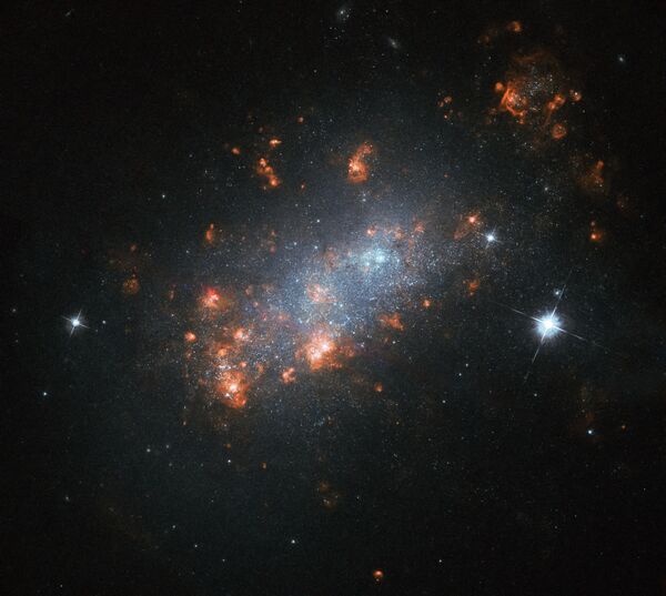 Галактика NGC 1156 в созвездии Овен