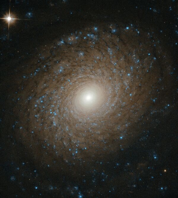 Спиральная галактика NGC 2985 в созвездии Большая Медведица