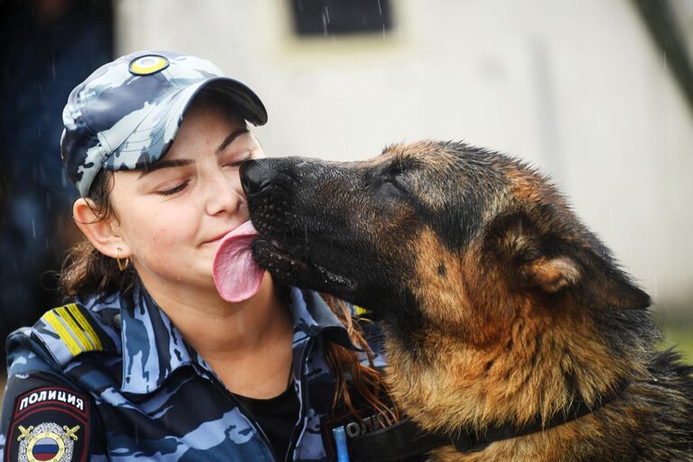 Кинолог со служебной собакой во время краевых межведомственных соревнований среди специалистов-кинологов силовых структур Забайкальского края