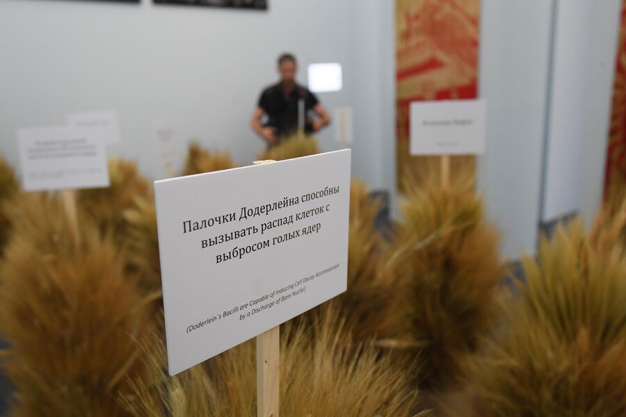 Посетители на выставке Посмотрим выставку! или Культурный код ВДНХ в рамках проекта Резидент на ВДНХ в Москве