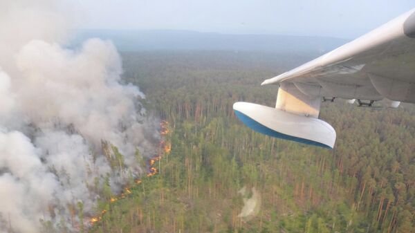 Самолет МЧС во время тушения лесных пожаров на севере Красноярского края