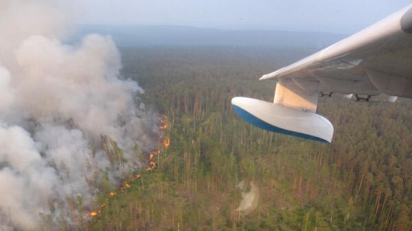 Лесной пожар в Красноярском крае. 31 июля 2019