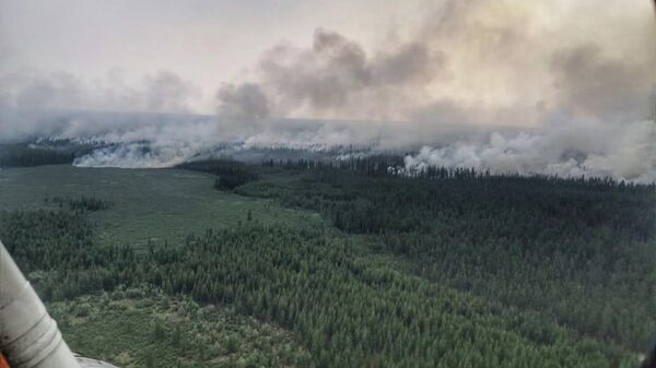 Лесной пожар в Республике Саха (Якутия)