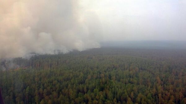 Природый пожар на севере Красноярского края