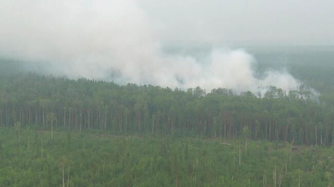 Ликвидация лесных пожаров в Красноярском крае. 1 августа 2019
