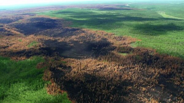 Последствия лесных пожаров в Красноярском крае