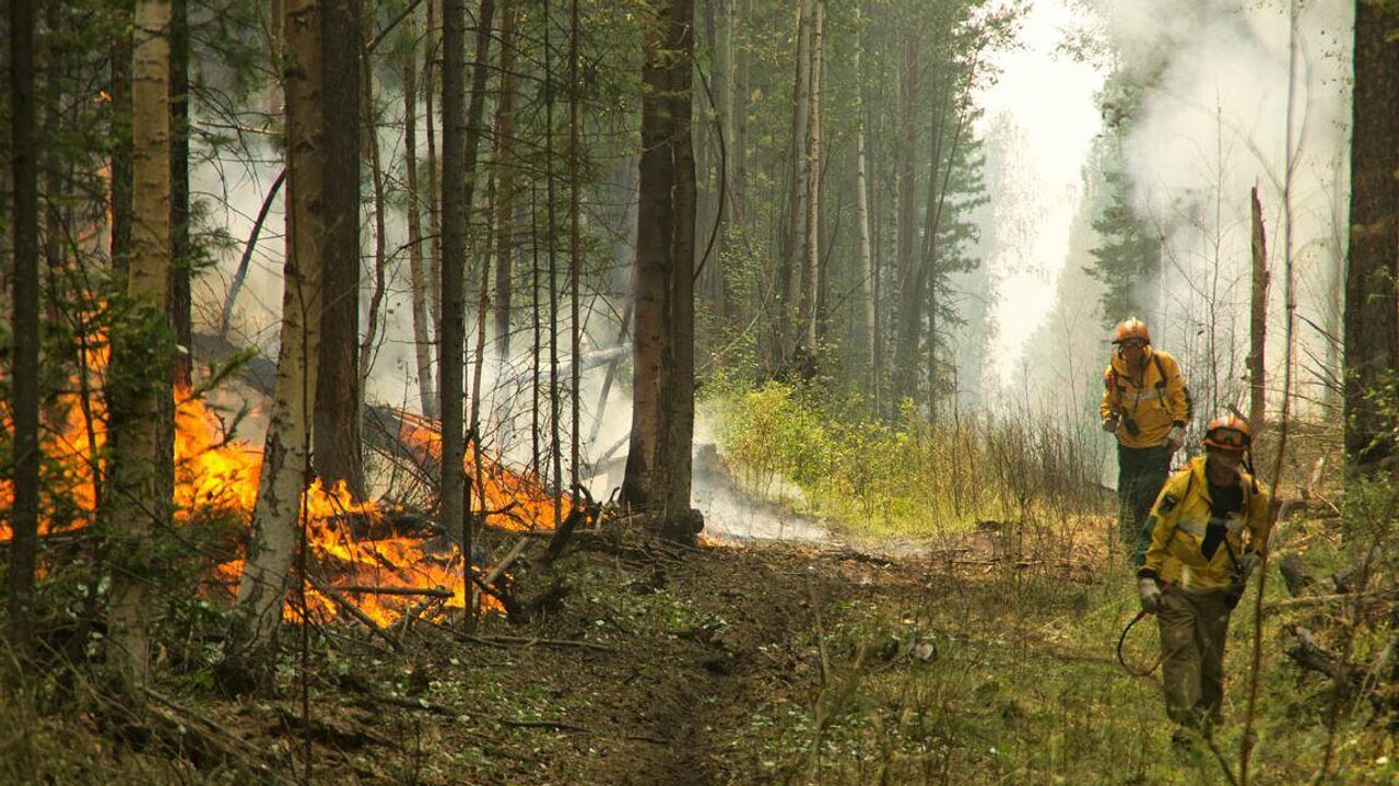 СК возбудил дело из-за пожара под Воронежем, где сгорело 50 строений - РИА  Новости, 01.10.2020