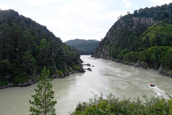 Река Катунь в Чемальском районе Республики Алтай