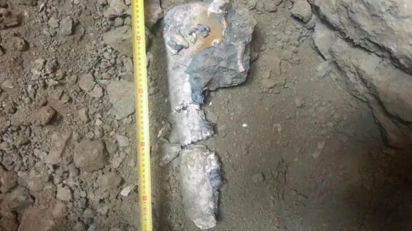 Окаменелости, найденные во время строительства метро в Тулузе