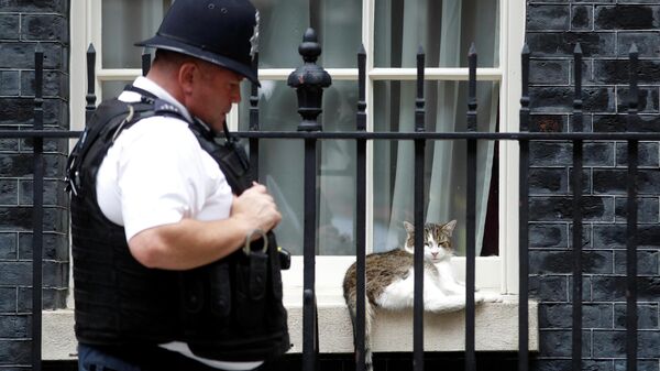 Сотрудник британской полиции на Даунинг-стрит, 10 в Лондоне 