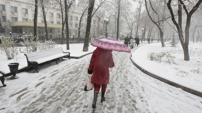 Снег в Москве. Архивное фото