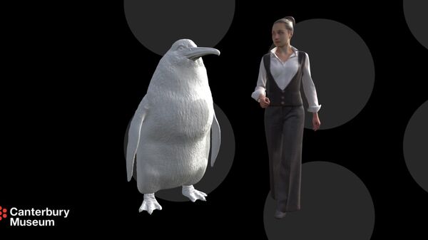 Сравнительная проекция гигантского пингвина, предположительно обитавшего на территории Новой Зеландии