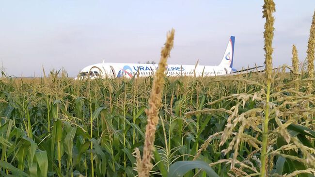 Экстренно севший в Жуковском A-321