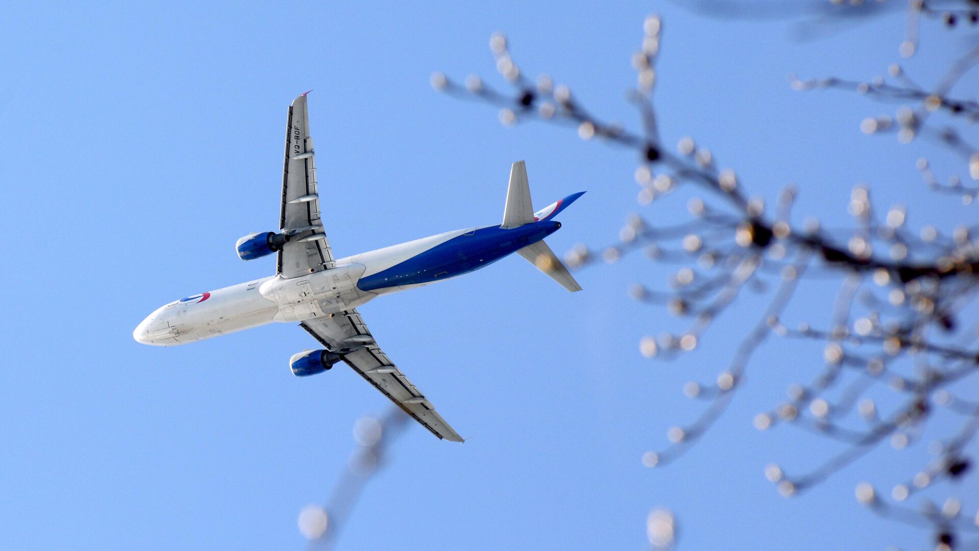 Самолет Airbus A321 - РИА Новости, 1920, 15.08.2019