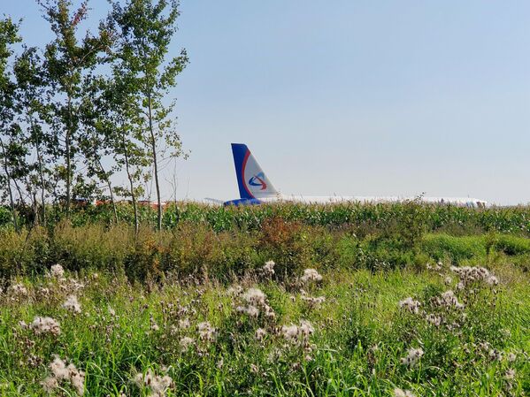 Самолет Airbus А-321 авиакомпании Уральские авиалинии после вынужденной посадки в Жуковском