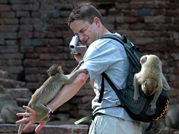 Турист с макаками в Таиланде