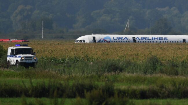 Самолет Airbus А-321 авиакомпании Уральские авиалинии после аварийной посадки в Жуковском