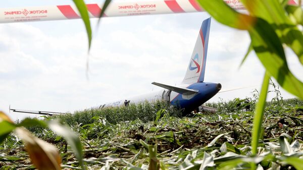 Последствия вынужденной посадки в Подмосковье лайнера Airbus А-321 авиакомпании Уральские авиалинии в результате попадания птиц в двигатели самолета