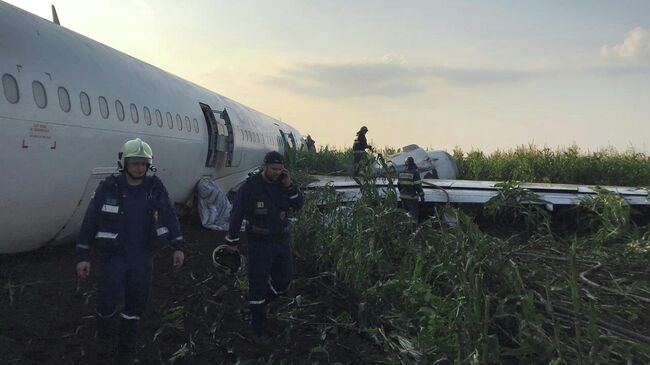 Самолет Airbus А-321 авиакомпании Уральские авиалинии после аварийной посадки в Жуковском