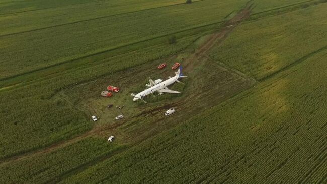 Самолет А-321 авиакомпании Уральские авиалинии с пассажирами на борту совершил аварийную посадку в Подмосковье