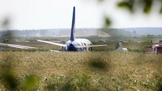 Самолет Airbus А-321 авиакомпании Уральские авиалинии после аварийной посадки в Жуковском