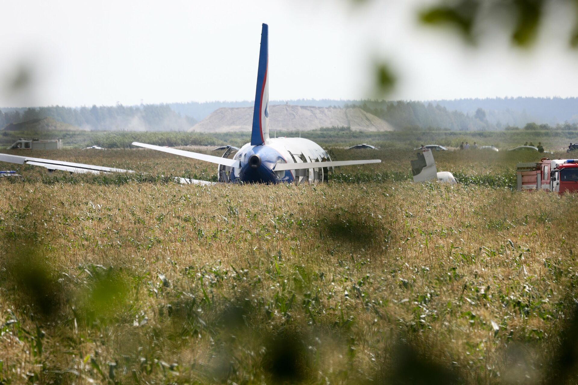 Самолет Airbus А-321 авиакомпании Уральские авиалинии после аварийной посадки в Жуковском - РИА Новости, 1920, 05.07.2024