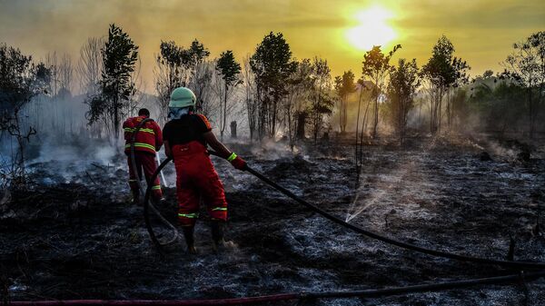 Тушение лесных пожаров на Суматре, Индонезия 