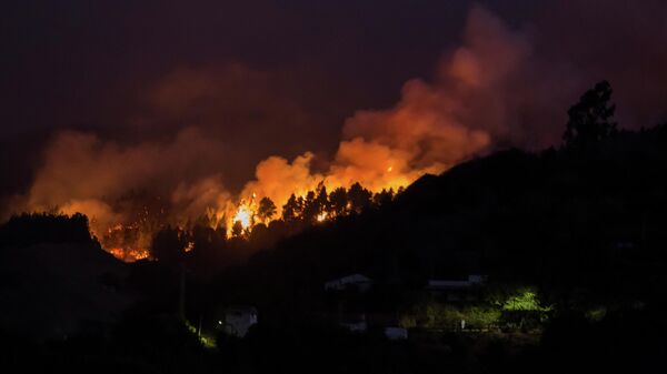 Лесной пожар на Канарских островах
