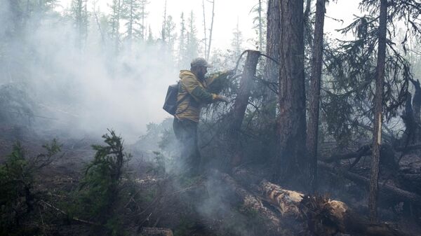 Ликвидация лесных пожаров