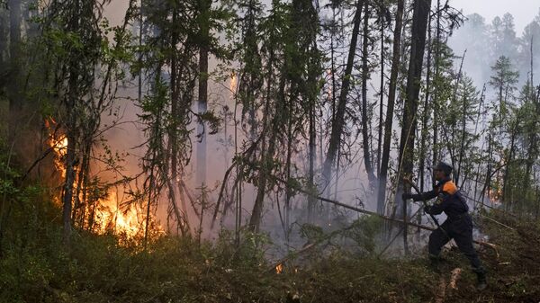 Ликвидация лесных пожаров