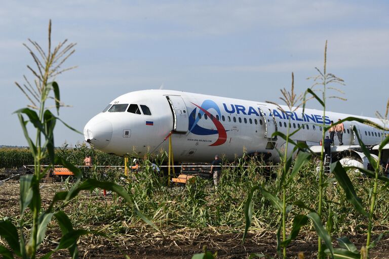 Самолет Airbus А321 авиакомпании Уральские авиалинии в кукурузном поле в районе деревни Рыбаки в Раменском районе Московской области