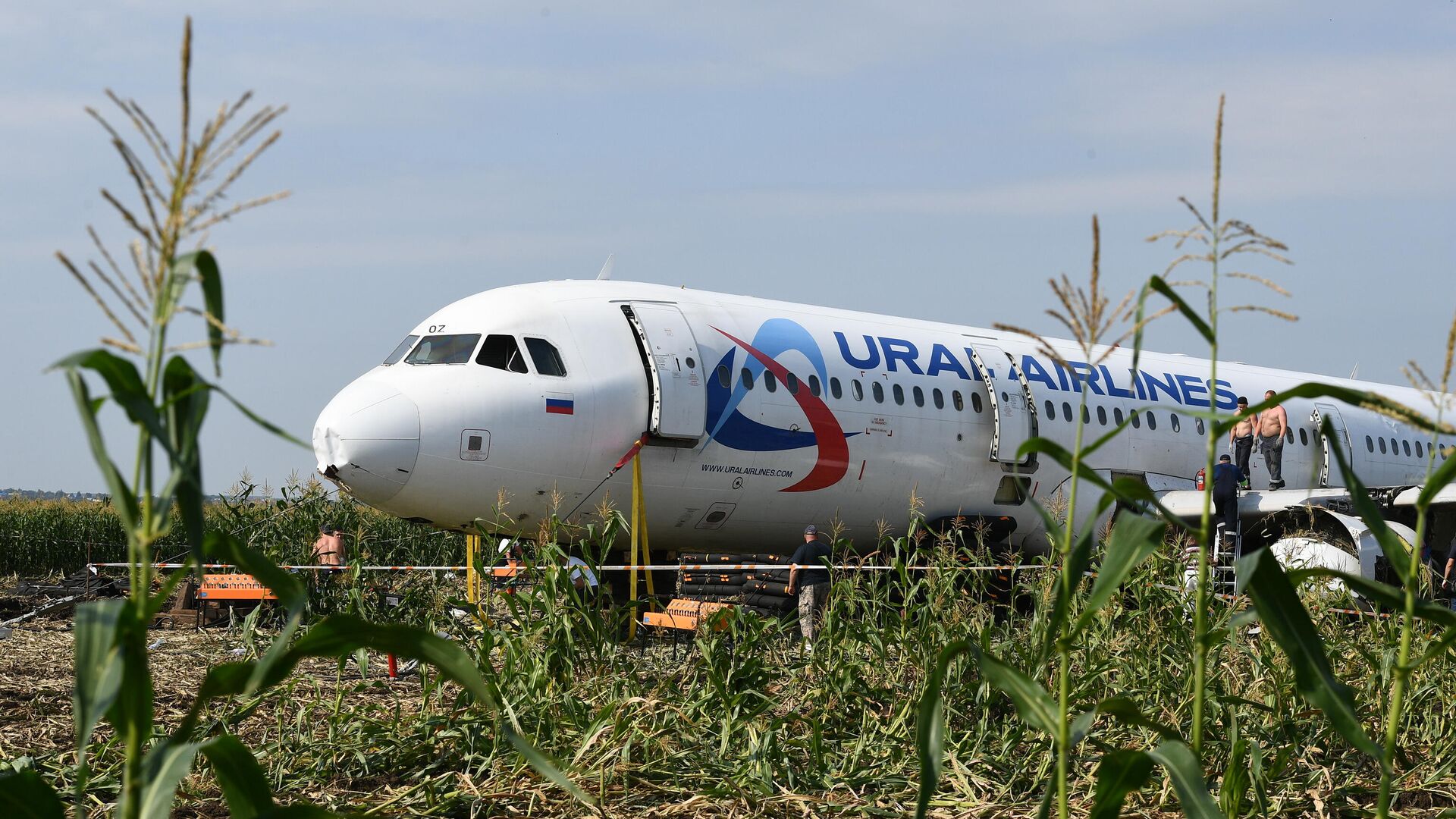 Самолет Airbus А321 авиакомпании Уральские авиалинии в кукурузном поле в районе деревни Рыбаки в Раменском районе Московской области - РИА Новости, 1920, 15.08.2022