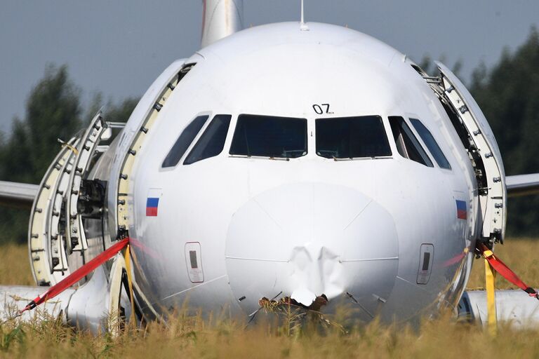 Самолет Airbus А321 авиакомпании Уральские авиалинии в кукурузном поле в районе деревни Рыбаки в Раменском районе Московской области