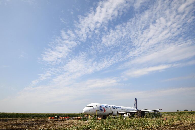 Самолет Airbus А321 авиакомпании Уральские авиалинии в кукурузном поле в районе деревни Рыбаки в Раменском районе Московской области