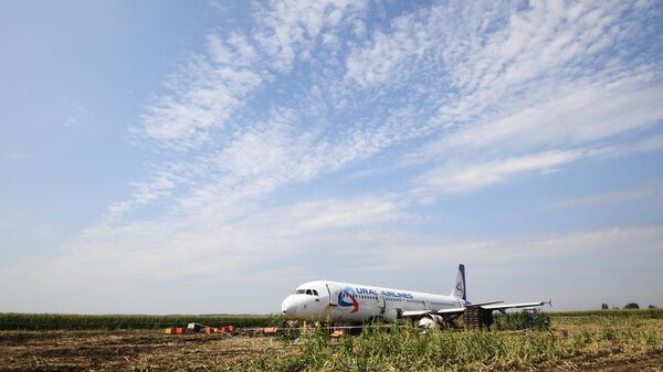 Самолет Airbus А321 авиакомпании Уральские авиалинии в кукурузном поле в районе деревни Рыбаки в Раменском районе Московской области