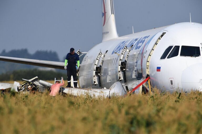 Самолет Airbus А321 авиакомпании Уральские авиалинии в кукурузном поле в районе деревни Рыбаки в Раменском районе Московской области