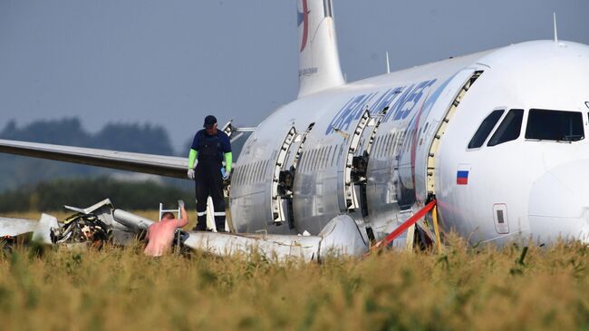 Самолет Airbus А321 авиакомпании Уральские авиалинии в кукурузном поле в районе деревни Рыбаки в Раменском районе Московской области