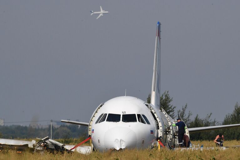 Самолет Airbus А321 авиакомпании Уральские авиалинии в кукурузном поле в районе деревни Рыбаки в Раменском районе Московской области.