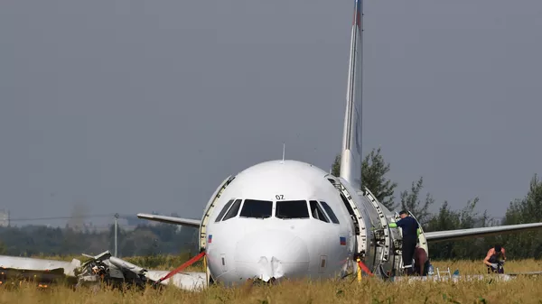 Самолет Airbus А321 авиакомпании Уральские авиалинии в кукурузном поле в районе деревни Рыбаки в Раменском районе Московской области.