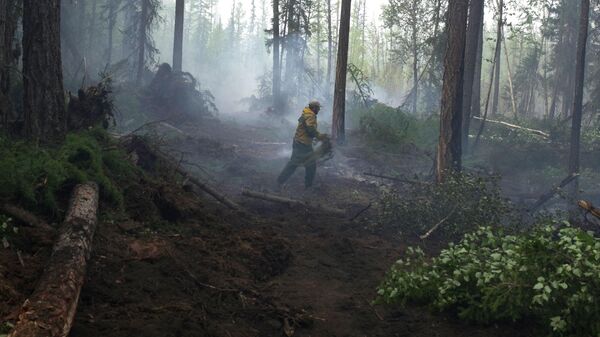 Сотрудник лесохраны во время ликвидации лесного пожара в Богучанском районе Красноярского края